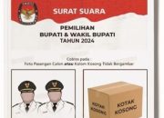 Pilihan Kotak Kosong di Aceh Tamiang, Apa yang Dipertaruhkan?