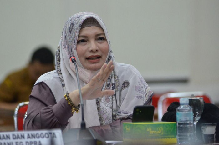 Tanggul Seruway jebol, banjir di Aceh Tamiang menyebabkan kerusakan infrastruktur, Nora Idah Nita mendesak tanggap darurat