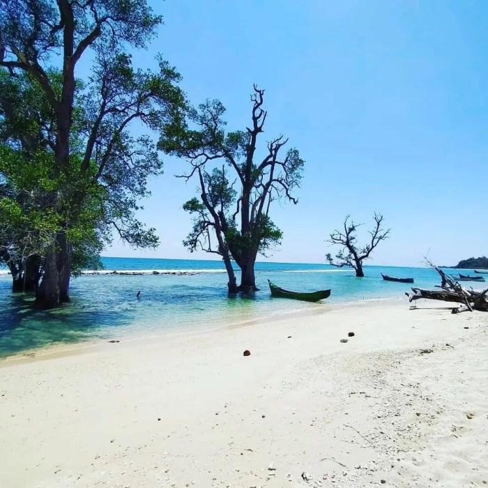 Taman rusa banda aceh