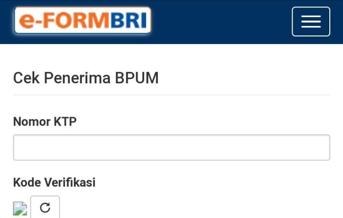 Bagaimana cara cek status dividen bri saya online