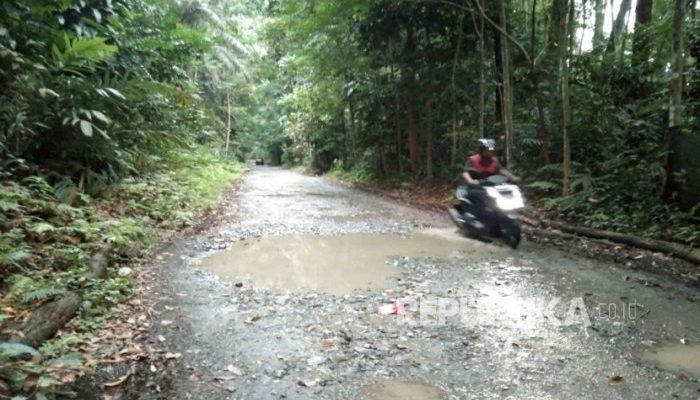 CIFOR Bogor Riset Kehutanan untuk Indonesia