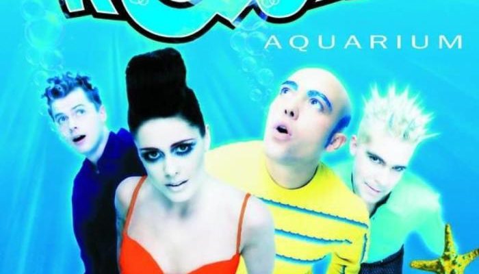 Air Aquarium Keruh Penyebab, Pencegahan, dan Solusi