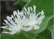 Memahami Makna dan Penggunaan Bahan Crot