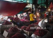Harga Bawang Merah Kramat Jati Fluktuasi dan Faktornya