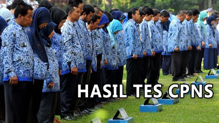 Apakah penempatan cpns sesuai domisili