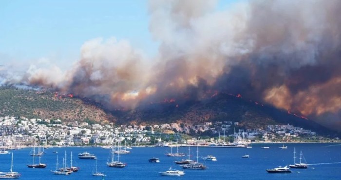 Contoh berita kebakaran