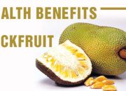 Manfaat Daun Nangka untuk Kesehatan dan Kehidupan