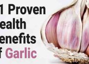 Manfaat Bawang Putih Goreng untuk Kesehatan