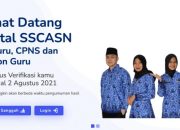 Cek Pengumuman CPNS Panduan Lengkap