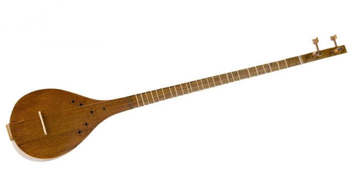 Instrument banjo mandolin like guitar sitar balalaika musical triangle definition strings oxfordlearnersdictionaries american shaped played round russia neck metal long