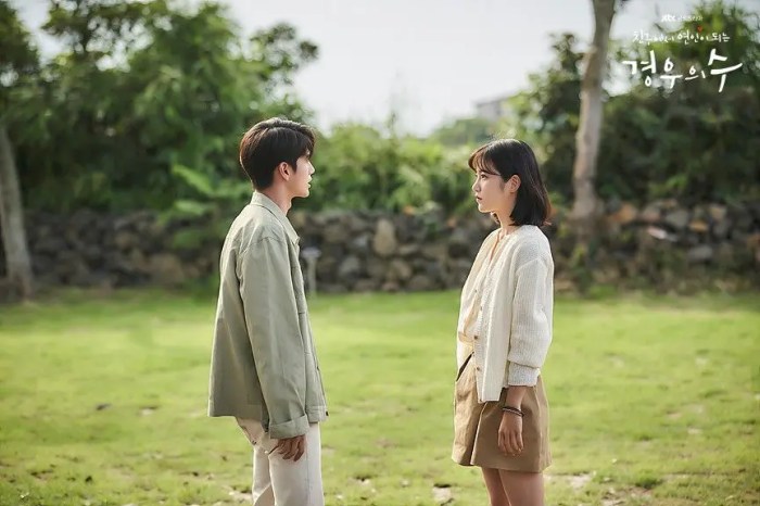 Drakorindo more than friends