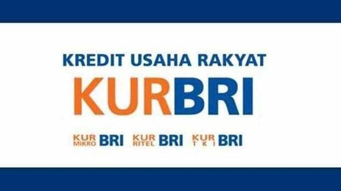 Keuntungan dan Kerugian KUR BRI 2025