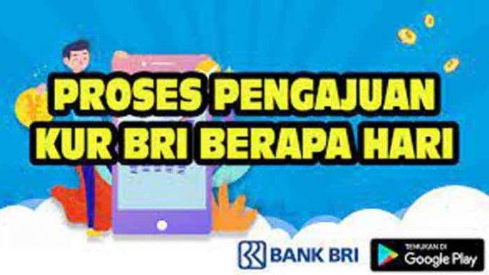 Keuntungan dan kerugian mengambil KUR BRI 2025