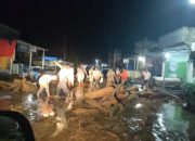 Banjir Bandang Aceh Tenggara Bencana dan Penanggulangannya
