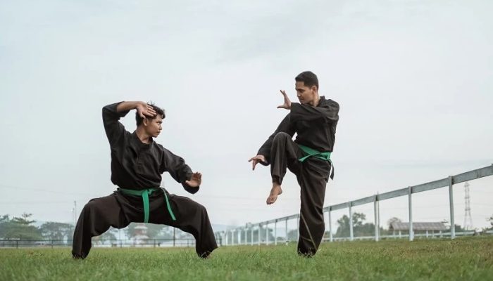 Prinsip Bela Diri Pencak Silat Kecuali Sejarahnya