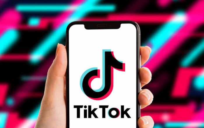 Kesalahan tidak lolos kontrol penipuan tiktok lite