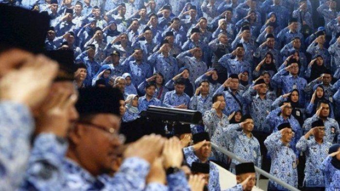 Formasi pendaftaran cpns 2024