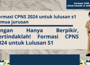 CPNS Formasi 2024 Panduan Lengkap