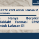 Cpns formasi 2024