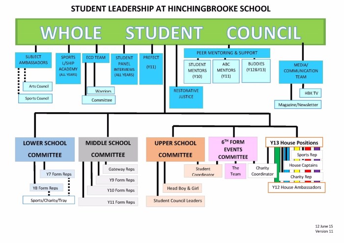 Council student application students government leadership school elementary teacherspayteachers ideas middle board activities run information group coaching