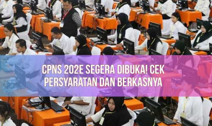 Cpns skd pengumuman jadwal lokasi pelaksanaan segera diumumkan januari besok ujian hingga syarat