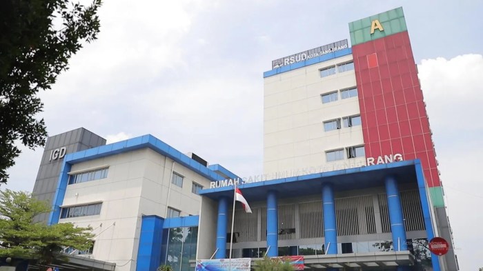 Daftar online rsud tangerang selatan