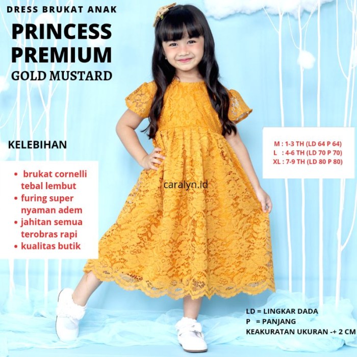 Baju princess anak