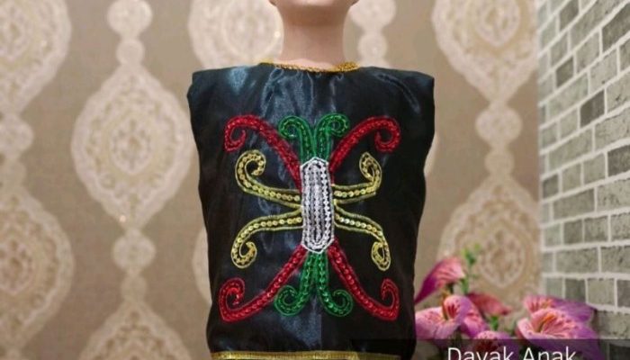 Baju Adat Dayak Kalimantan Timur Sejarah, Jenis, dan Makna