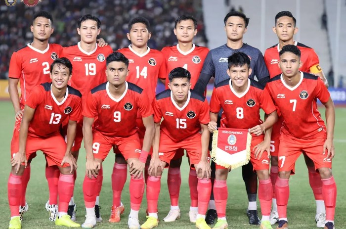 Biodata pemain timnas indonesia