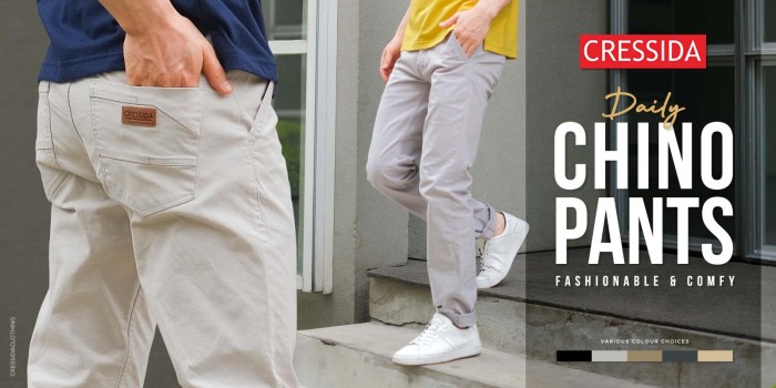 Cressida clearwing swallowtail