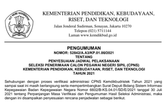 Pengumuman penerimaan cpns