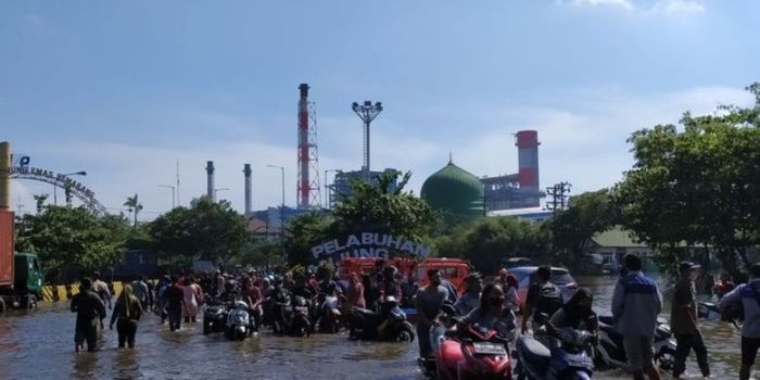 Harian semarang Harian semarang