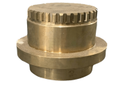 Batang Kacang Tanah Struktur, Budidaya, dan Manfaatnya