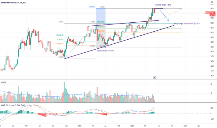Cara daftar saham bbri
