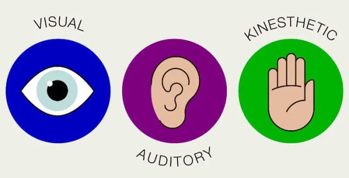 Gaya belajar visual auditori dan kinestetik
