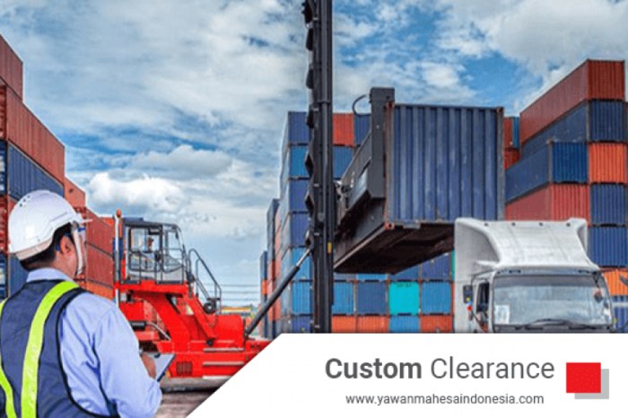 Customs jasa clearance import