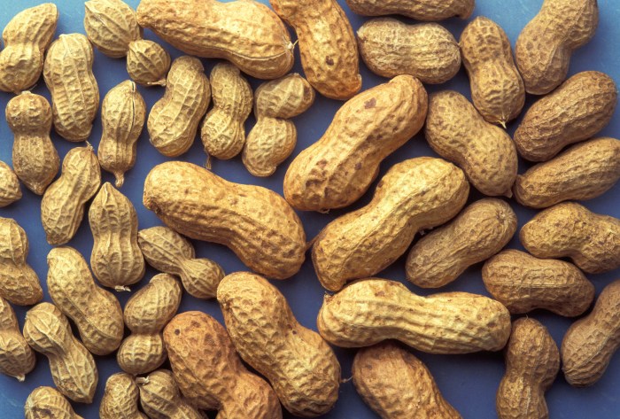 Batang kacang tanah
