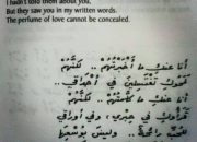 Syair Arab Tentang Cinta Sejarah, Tema, dan Pengaruhnya