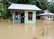 Berita Banjir Aceh Tamiang Hari Ini