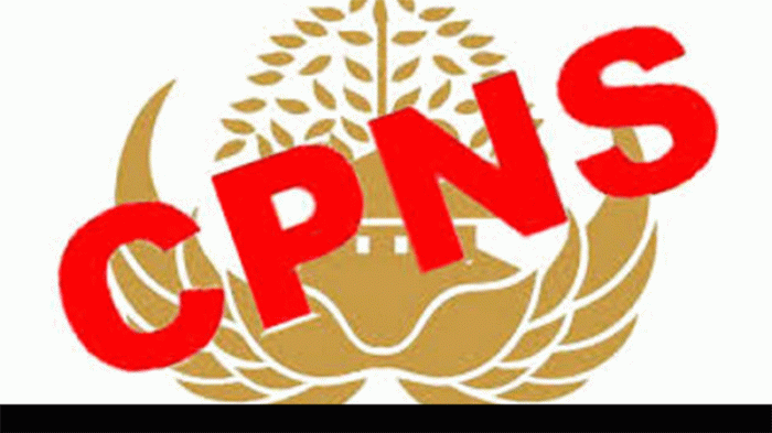 Lihat Pengumuman CPNS Dimana?