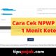 Cara cek npwp online