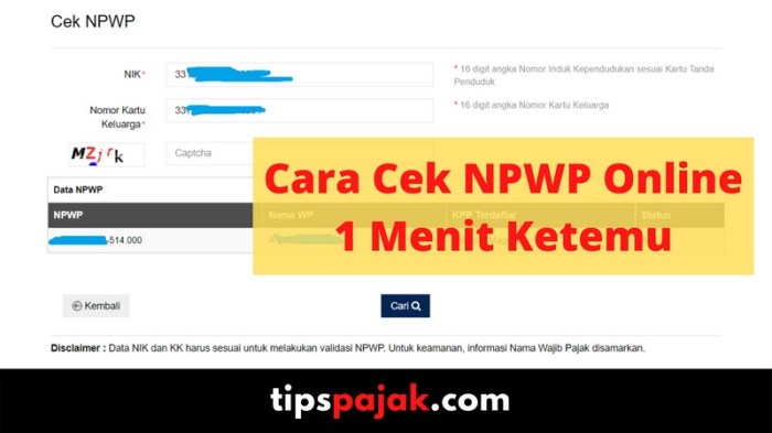 Cara cek npwp online
