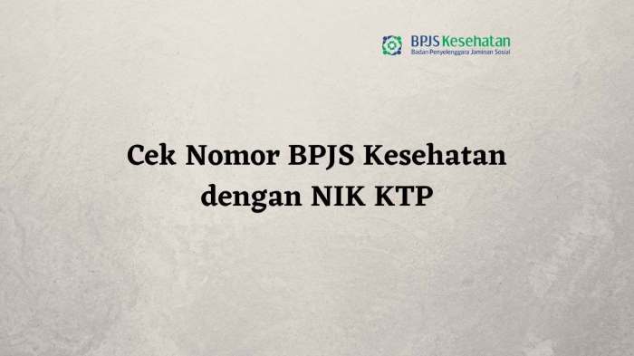 Cara pengecekan bpjs kesehatan