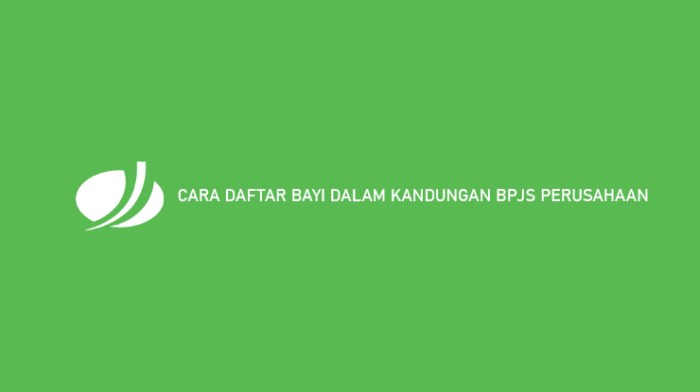 Cara daftar bayi dalam kandungan bpjs perusahaan