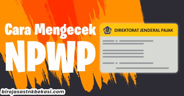 Cara cek pembayaran pajak npwp