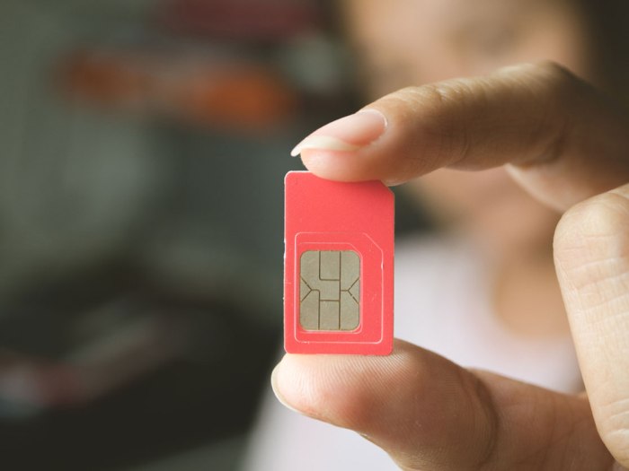 Cara mengetahui nomor induk kependudukan melalu nomor sim