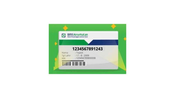 Cara cek bpjs lewat nik
