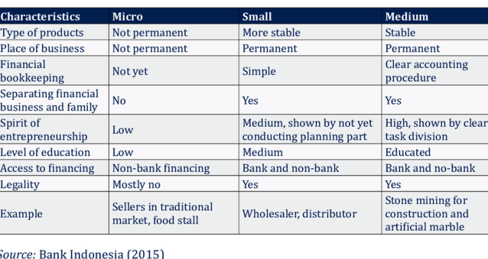 Apakah umkm harus lapor spt tahunan