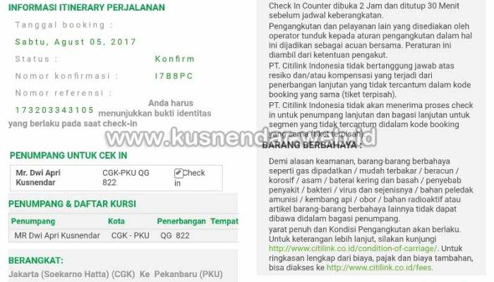 Cara Check In Online Citilink Panduan Lengkap