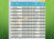 Kode Tempat Lahir Kabupaten Panduan Lengkap